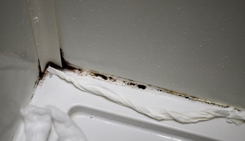 How To Remove Molds From Silicone Caulking